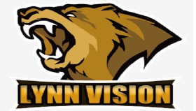 数据揭示：M4A1-S性价比超越A4，重回职业哥主流选择。